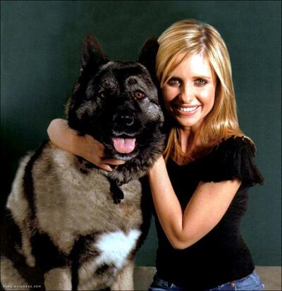 Buffy · Darsteller
